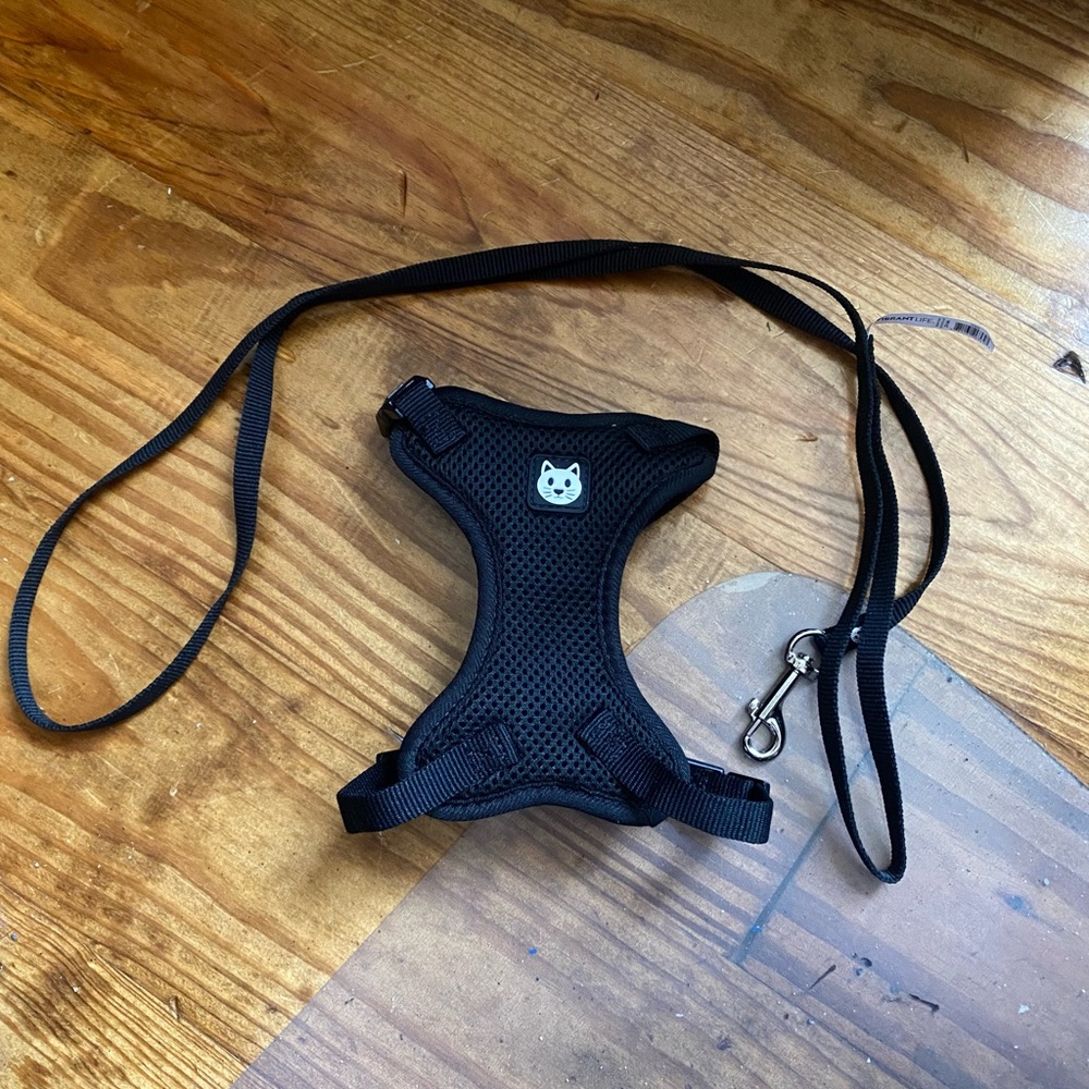 Vibrant Life Cat Harness & Leash